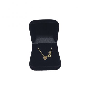 Escapulário  Baby Ouro 18K - TESTE 2